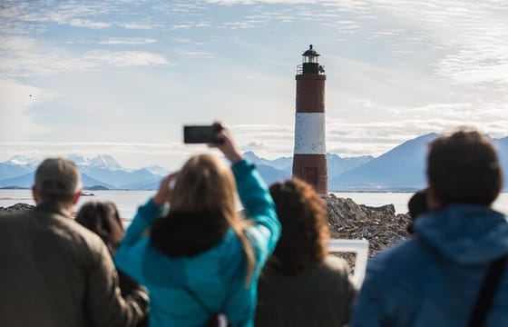Martillo Island: Boat Trip to the Penguin Colony & Beagle Channel