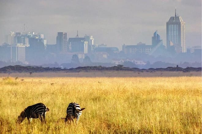 https://www.tripadvisor.com/Attraction_Review-g294207-d311535-Reviews-Nairobi_National_Park-Nairobi.html