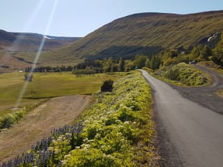 2 Hour Sightseeing Adventure, photo 10