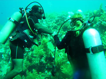 Discover Scuba Diving in Coxen Hole, Honduras
