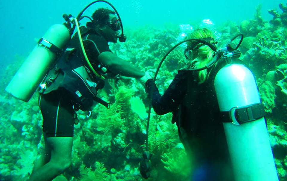 Discover Scuba Diving in Coxen Hole, Honduras
