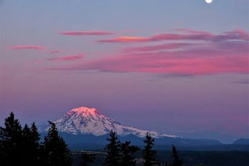 Small group Tour in Mt Rainier with air-conditioned Van Transfer