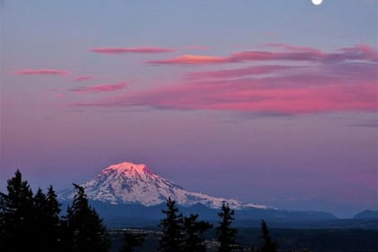 Small group Tour in Mt Rainier with air-conditioned Van Transfer