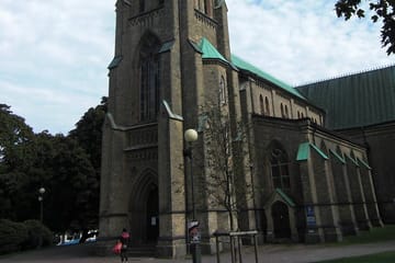 Gothenburg Highlights Tour: Landmarks and Historic Haga