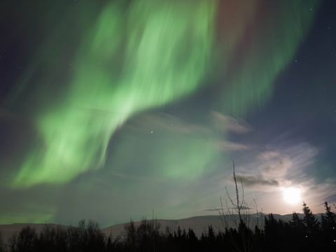 Private Northern Lights Tour