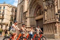 Barcelona Highlights Casa Batllo and Gothic Quarter 3