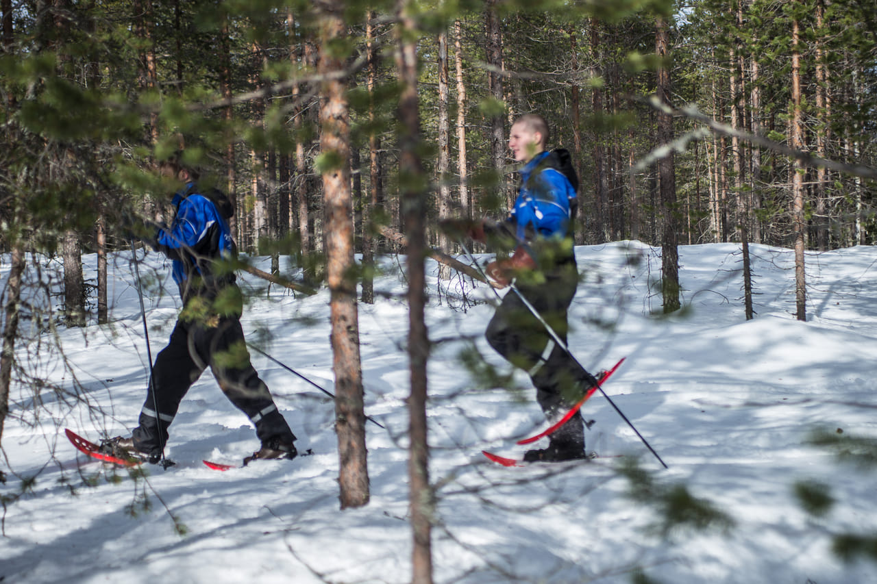 Snowshoe Experience in Lapland Forest - Rovaniemi 3