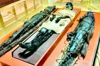Venice Natural History Museum: Private Tour 4