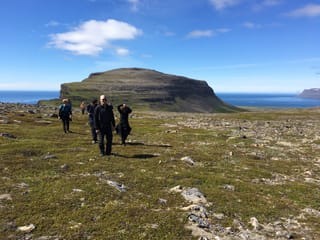 Green Cliffs of Hornstrandir, photo 15