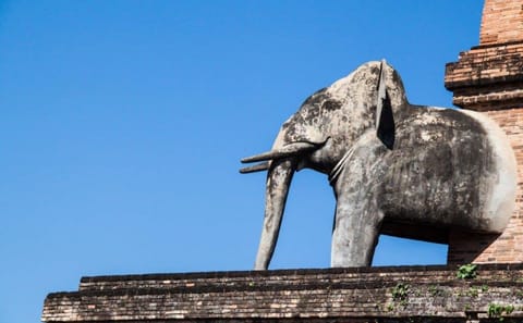Small Group Cultural Tour of Mueang Chiang Rai, Thailand