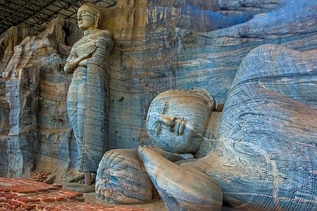 Dambulla Cave Temple and Polonnaruwa Ancient City Tour from Colombo