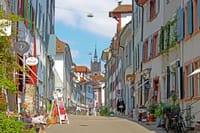 Basel Private Walking Tour with a Professional Guide 1