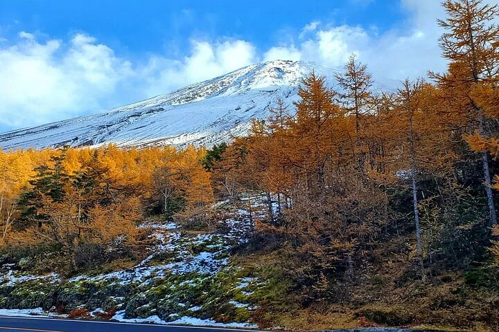 Mt. Fuji and Hakone Private Tour with Bullet Train Return