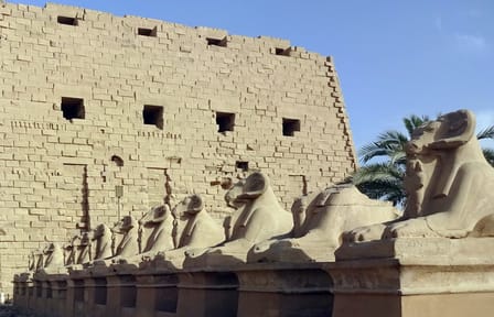 Day Trip to Luxor Temple from Marsa Alam