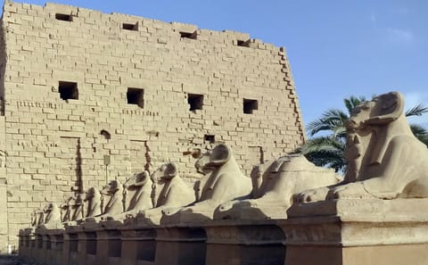 Day Trip to Luxor Temple from Marsa Alam