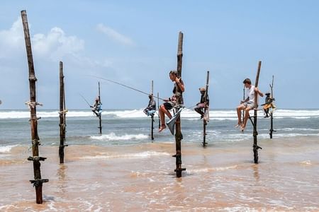 Luxury Private Airport Transfer to Galle, Unawatuna & Bentota