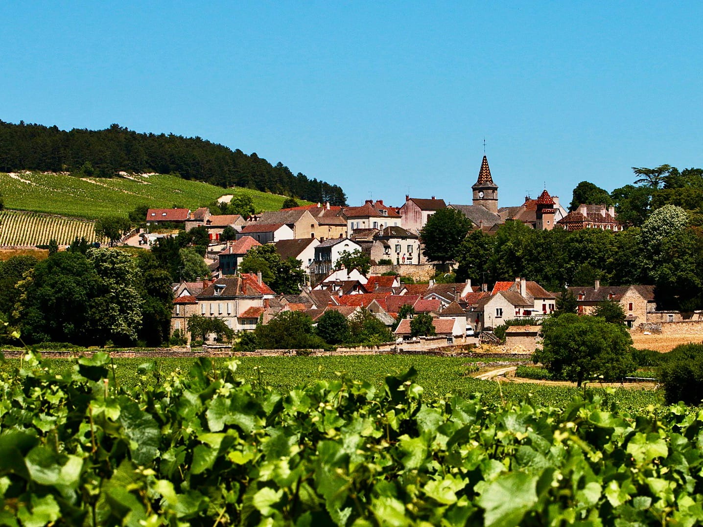 Private Burgundy Full-Day Wine Trip From Paris By Minivan