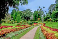 One Day Experience in Kandy (German & English) 2