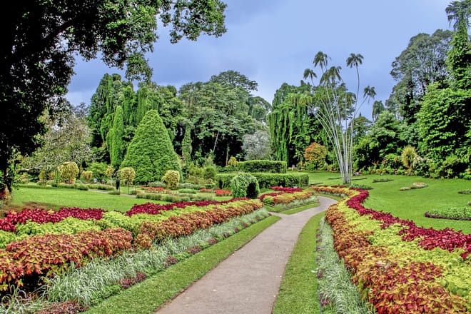 One Day Experience in Kandy (German & English) 2