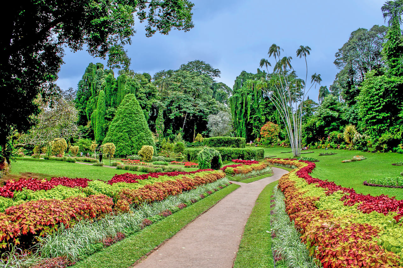 One Day Experience in Kandy (German & English) 2