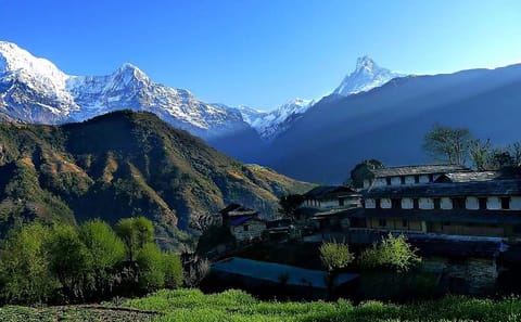 Three-Day Dhampus Trekking Tour from Pokhara