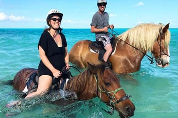 Swimming with Horses Experience on the Beach in Zanzibar