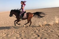2 Hours Desert Horse Riding Adventure with Transfer - Marsa Alam