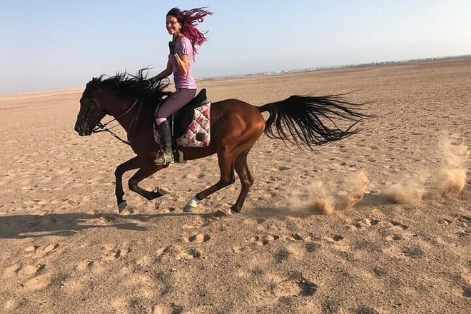 2 Hours Desert Horse Riding Adventure with Transfer - Marsa Alam