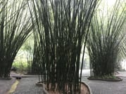 Private day tour to Yingxi Corridor and Cave Fairland from Guangzhou 7