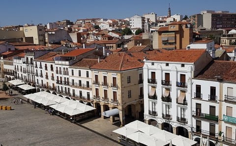 Explore Caceres' Medieval Heritage: Old Town and Cathedral Tour