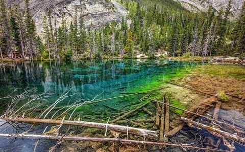 Grassi Lake and Grotto Canyon Icewalk Tour from Calgary