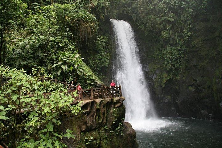 Day Trip from San Jose to La Paz Waterfall Gardens & Safari in Sarapiqui River