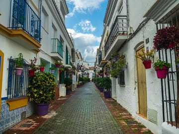 Professional Photographer in Honolulu