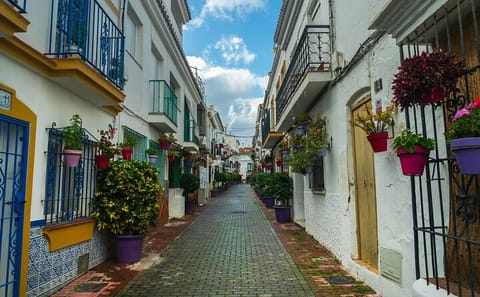 Málaga and Marbella Full-Day Cultural Tour with Photography