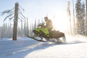 Rovaniemi: Snowmobile Safari to Reindeer and Husky Farm (invisible)