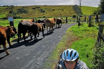 E-Bike Tour from Westport to Achill Island, Ireland