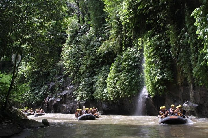 Full-Day Ayung River White Water Rafting and Ubud Tour