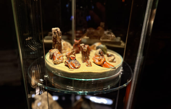 Cracow: Rynek Underground Museum Guided Tour 9