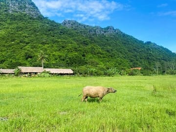 From CatBa, Lan Ha Bay Full-Day Boat Trip-Meals, Kayaking, Biking
