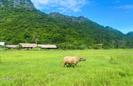 From CatBa, Lan Ha Bay Full-Day Boat Trip-Meals, Kayaking, Biking