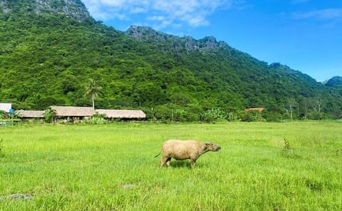 From CatBa, Lan Ha Bay Full-Day Boat Trip-Meals, Kayaking, Biking