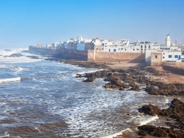 Essaouira Day Trip from Marrakech: Argan Trees & Coastal Medina