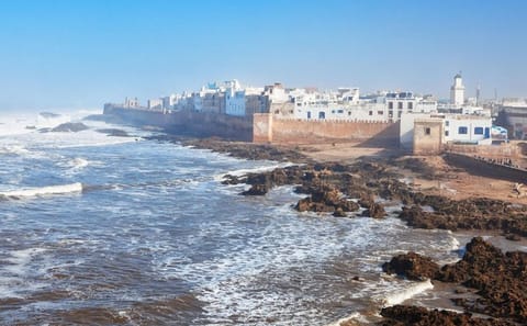 Essaouira Day Trip from Marrakech: Argan Trees & Coastal Medina