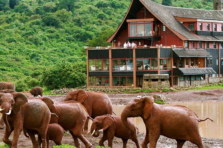 Private Wildlife Safari: Aberdares, Lake Nakuru & Masai Mara Adventure