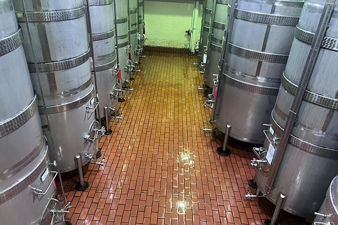 Full Day Wine Tasting Tour in Stellenbosch, and, paarl  - Photo 5
