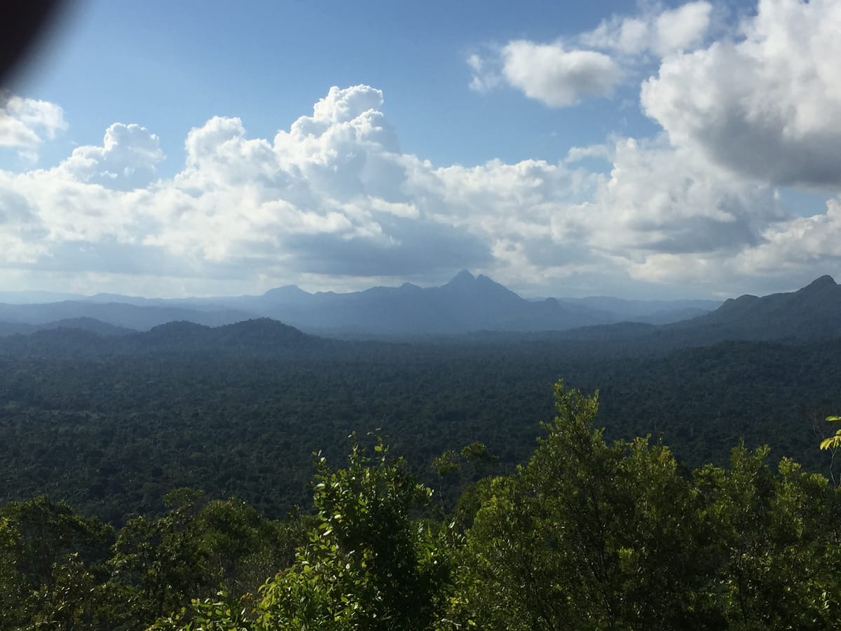 It is a reward to make it on top of Ben's Bluff or Tiger Fern.  The view is spectacular
