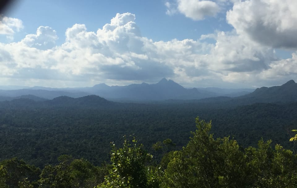 Hiking Adventure in Cockscomb Basin Nature Preserve, Belize