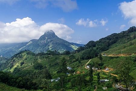 Knuckles and Riverston Trekking Adventure from Kandy with BBQ Night