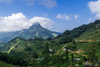 02 days Knuckles and Riverston Trekking from Kandy