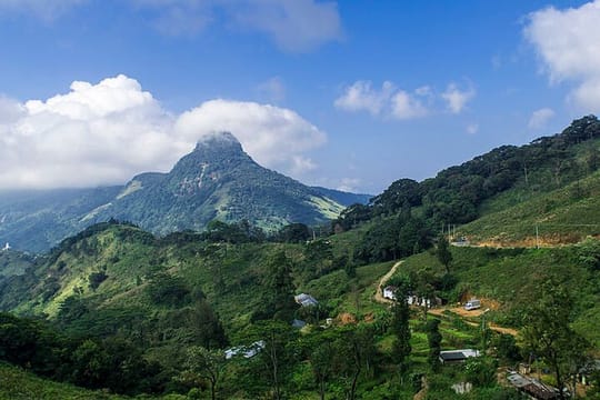02 days Knuckles and Riverston Trekking from Kandy